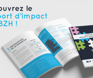 Incubateurs_TAgBZH__Rapport_de_mesure_dimpact_social_2025_Mockup-visuel-site-internet-CRESS